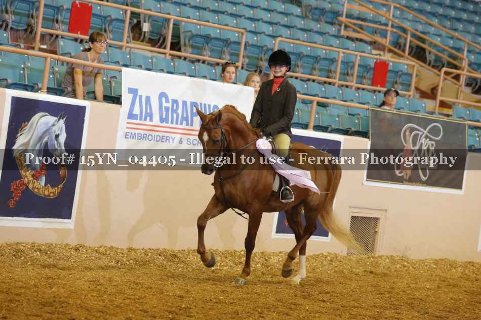 Proof 15YN_04405