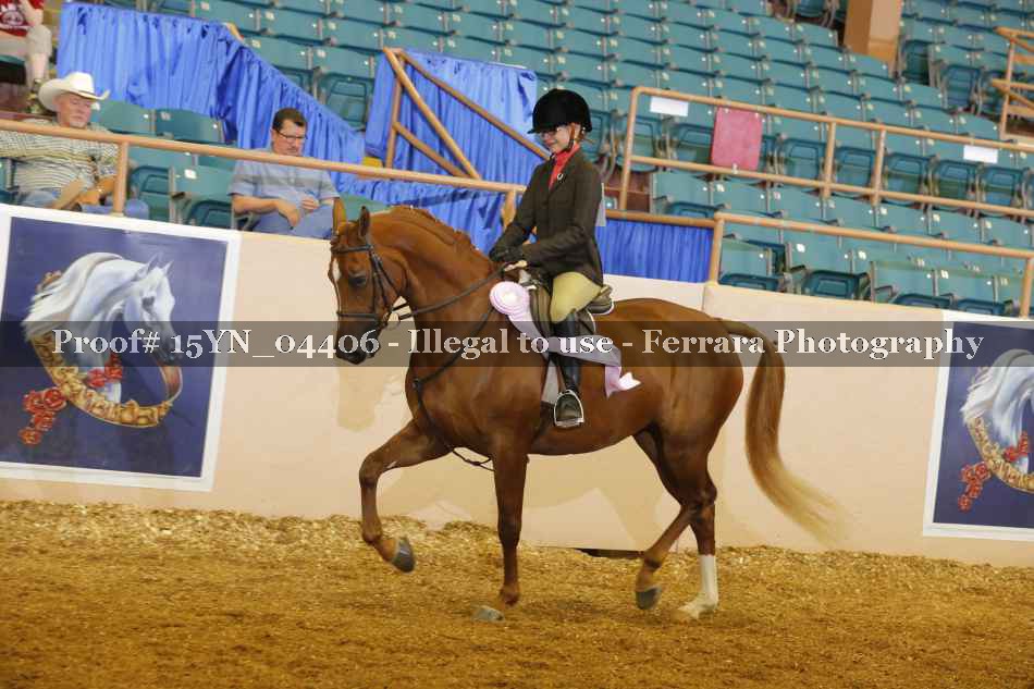Proof 15YN_04406