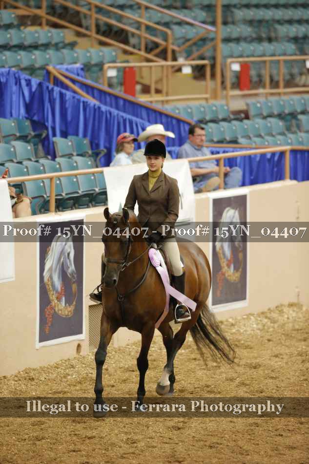 Proof 15YN_04407
