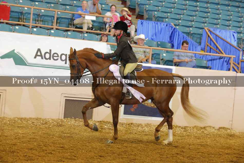 Proof 15YN_04408
