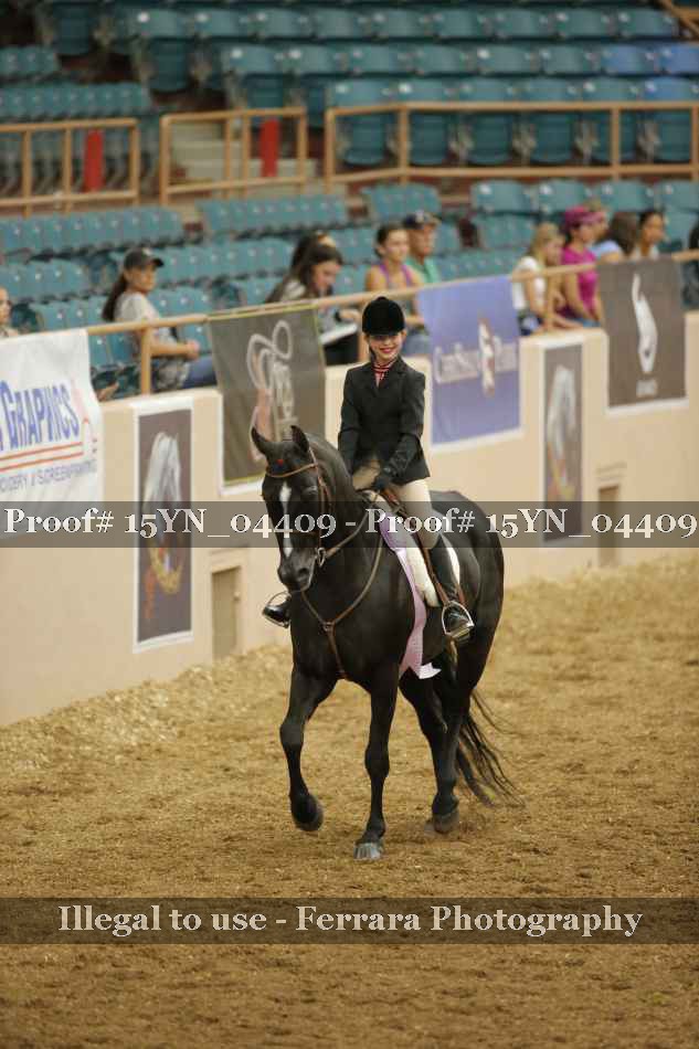 Proof 15YN_04409