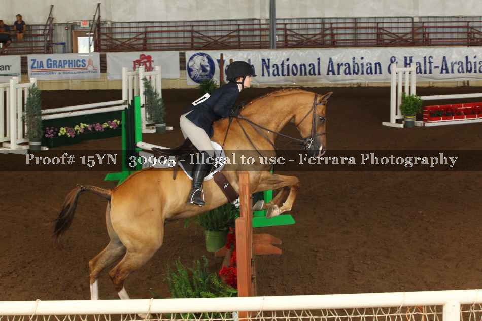 Proof 15YN_30905