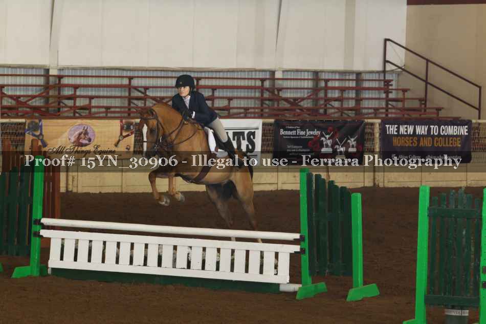 Proof 15YN_30906