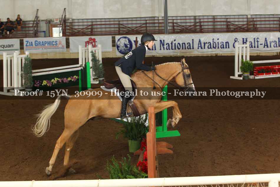 Proof 15YN_30909