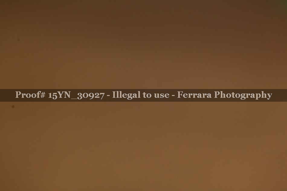 Proof 15YN_30927
