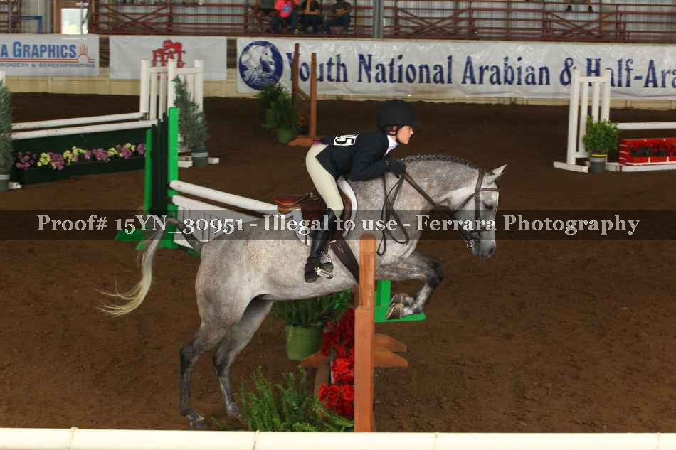Proof 15YN_30951