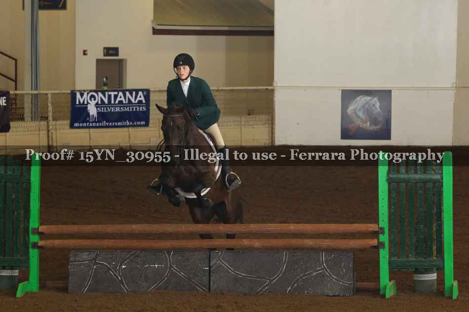 Proof 15YN_30955