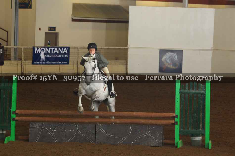Proof 15YN_30957