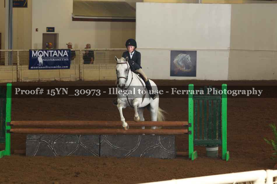 Proof 15YN_30973