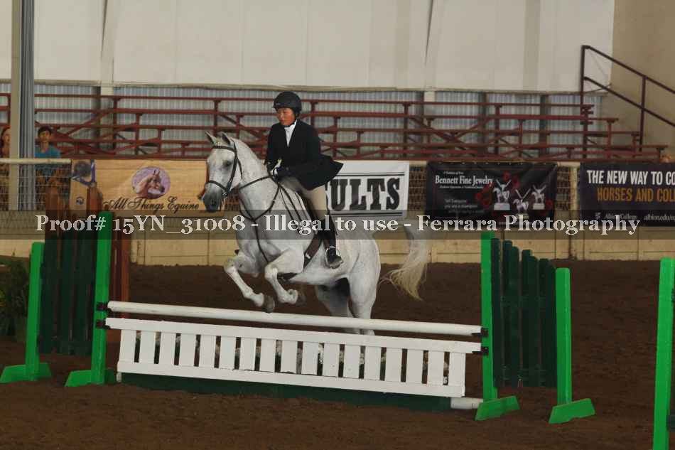 Proof 15YN_31008