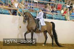15YN_22065 proof
