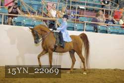 15YN_22069 proof