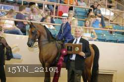 15YN_22104 proof