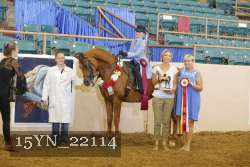15YN_22114 proof