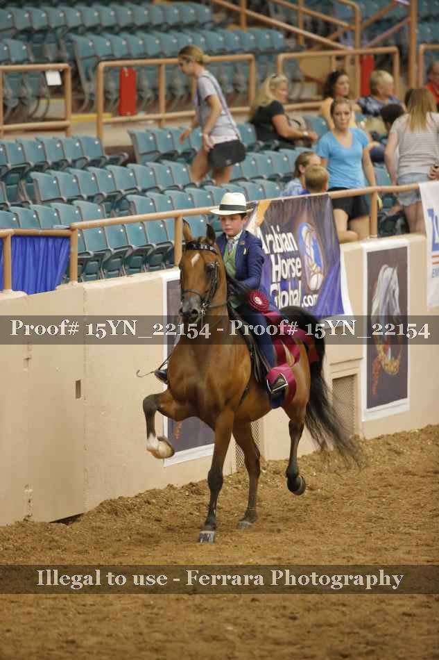 Proof 15YN_22154