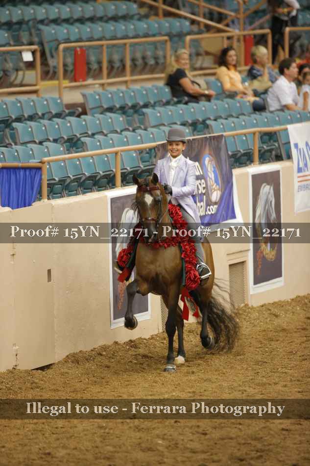 Proof 15YN_22171