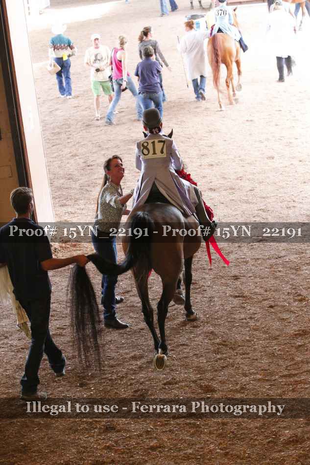 Proof 15YN_22191