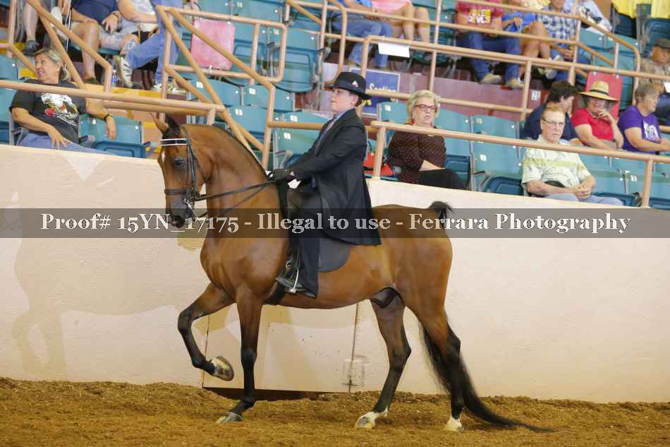 Proof 15YN_17175