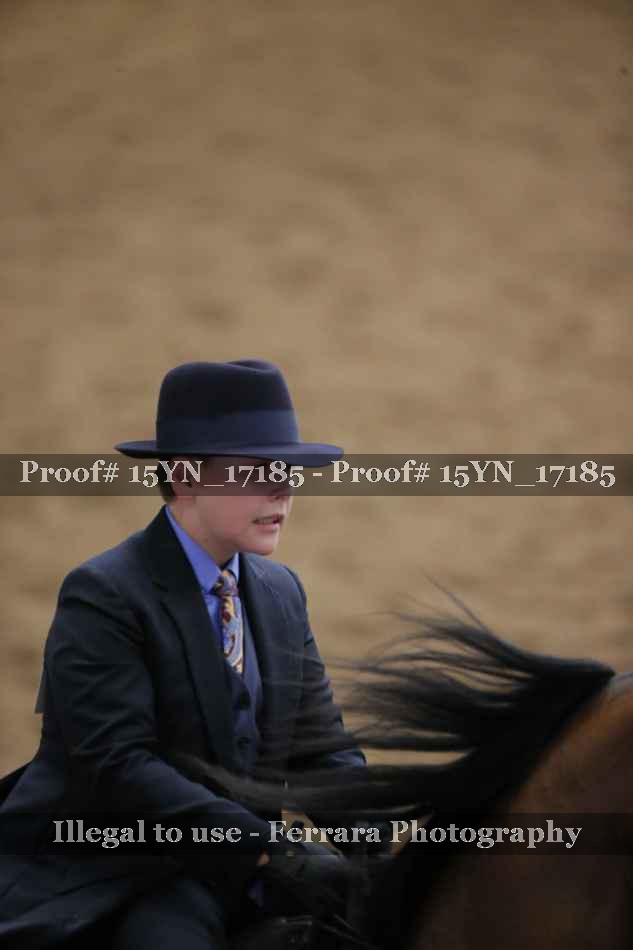 Proof 15YN_17185