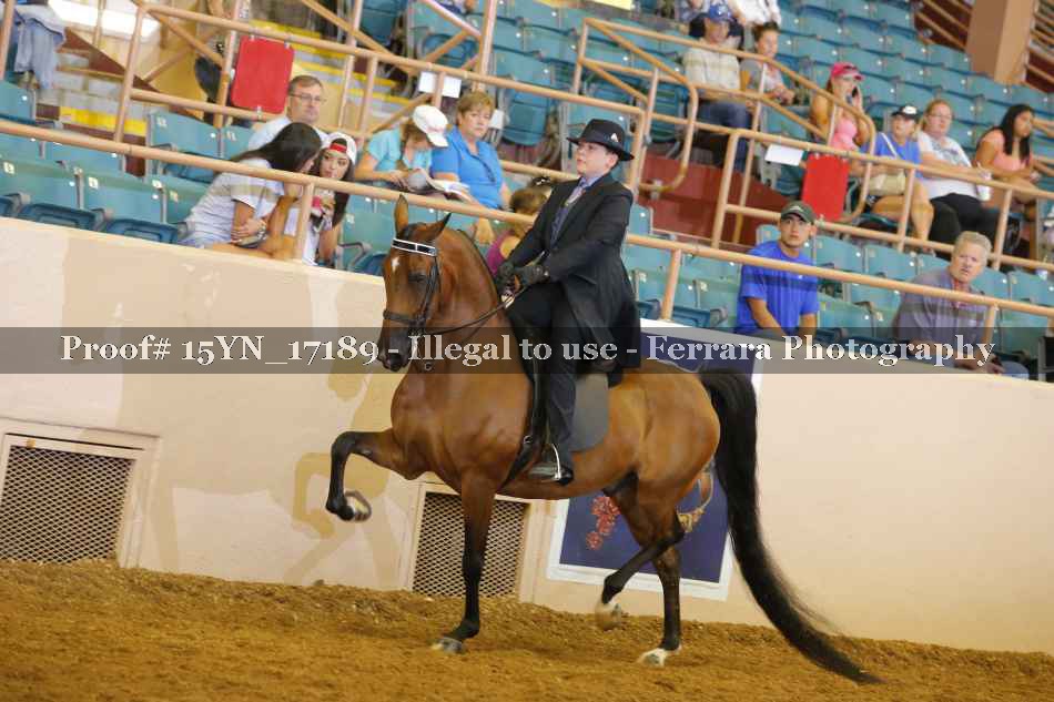 Proof 15YN_17189