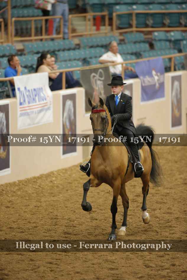 Proof 15YN_17191