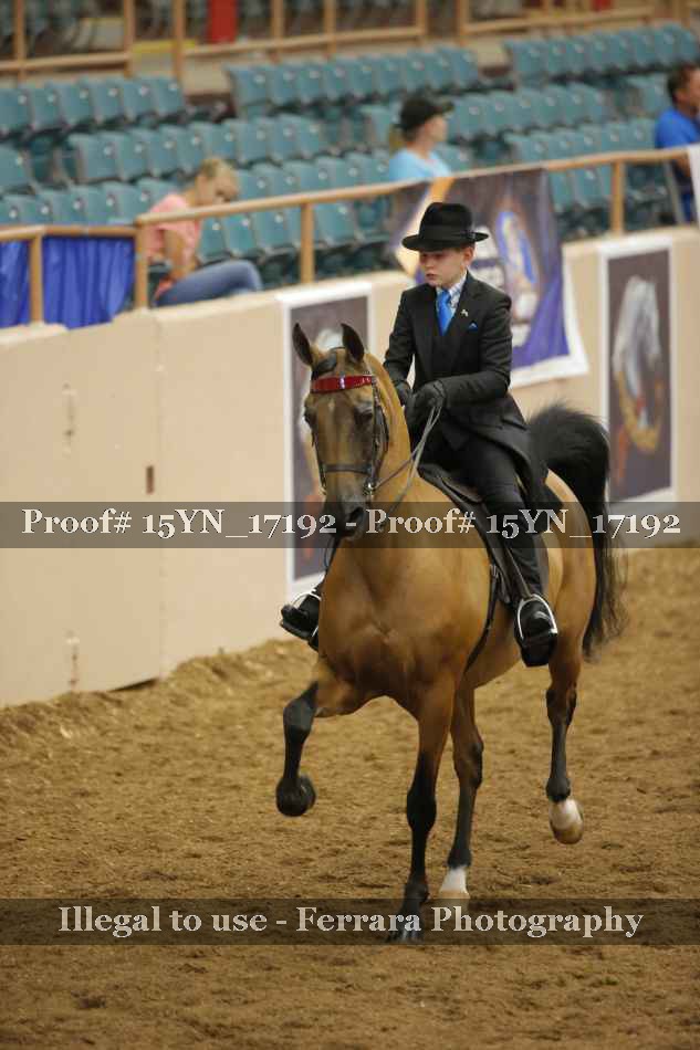 Proof 15YN_17192