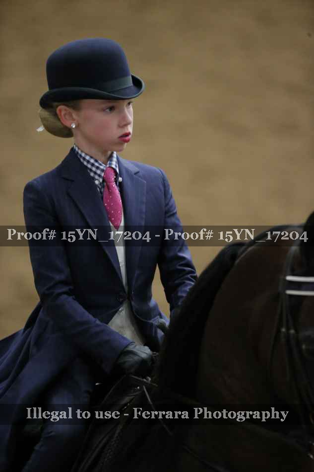 Proof 15YN_17204