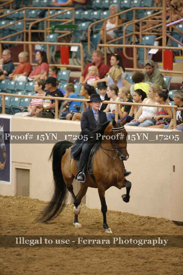 Proof 15YN_17205