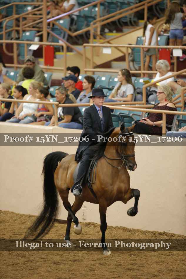 Proof 15YN_17206