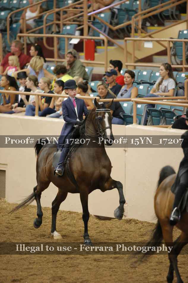 Proof 15YN_17207