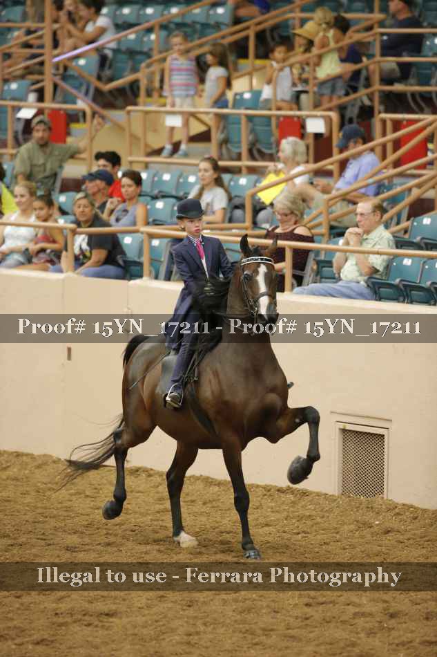 Proof 15YN_17211