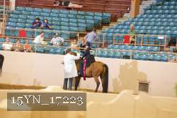 15YN_17223 proof