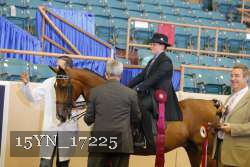 15YN_17225 proof