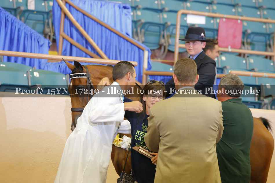 Proof 15YN_17240