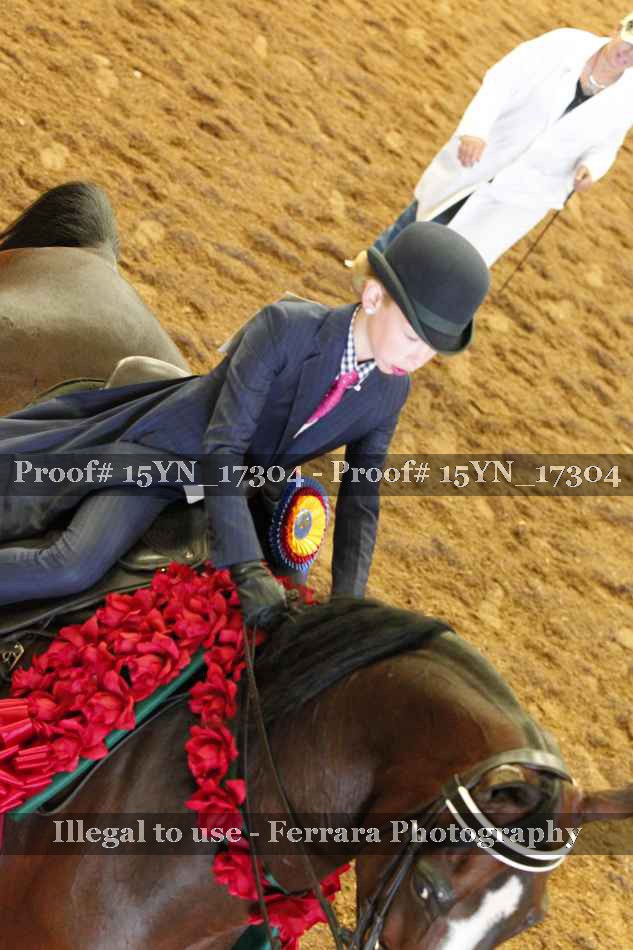 Proof 15YN_17304
