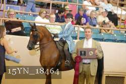 15YN_18464 proof