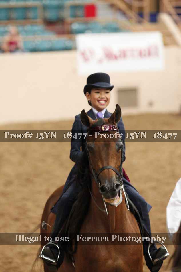 Proof 15YN_18477