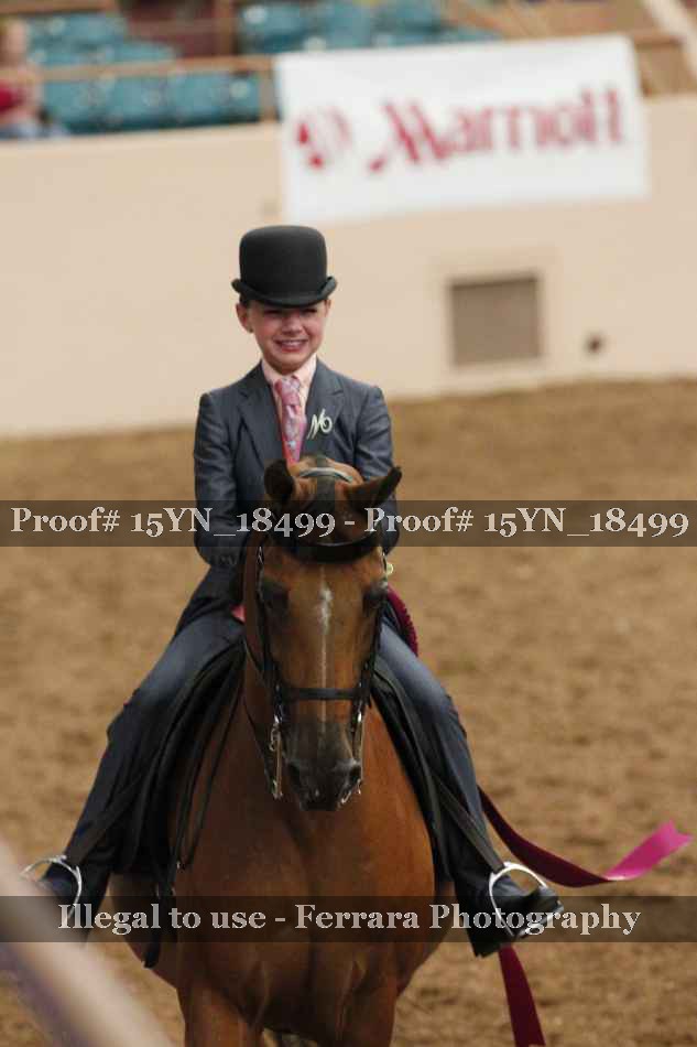 Proof 15YN_18499