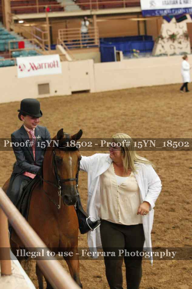 Proof 15YN_18502