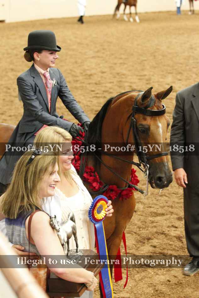 Proof 15YN_18518