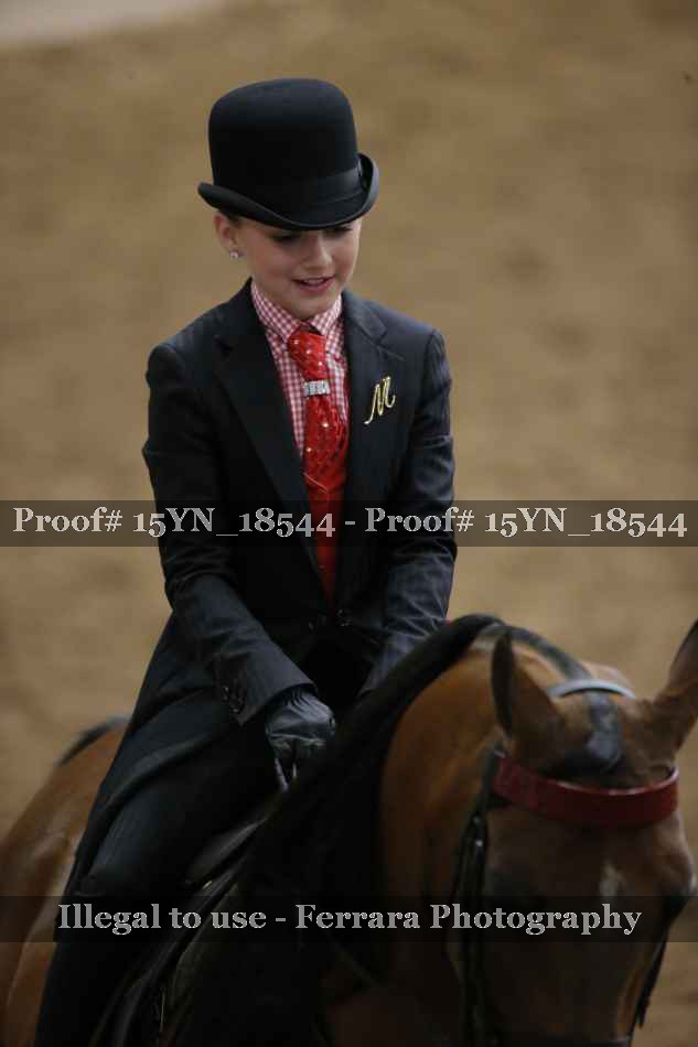 Proof 15YN_18544