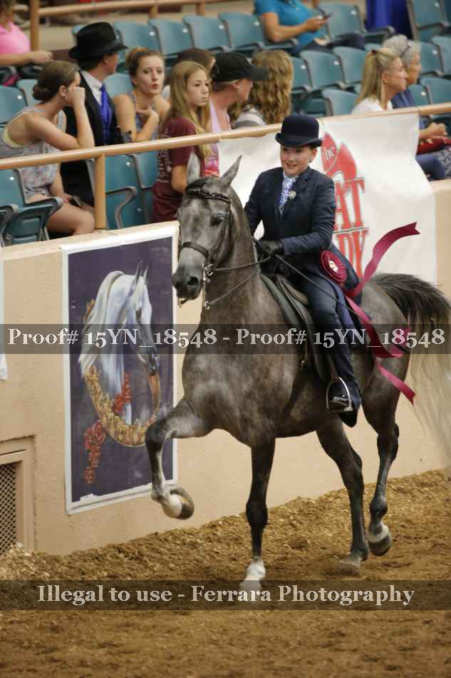 Proof 15YN_18548