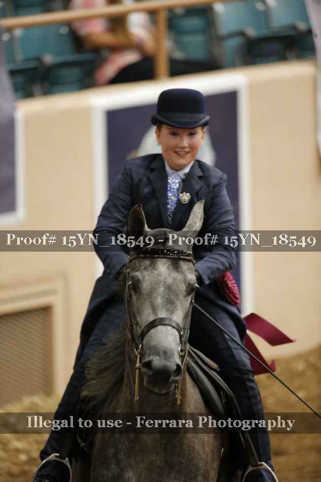 Proof 15YN_18549