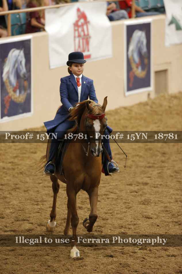 Proof 15YN_18781