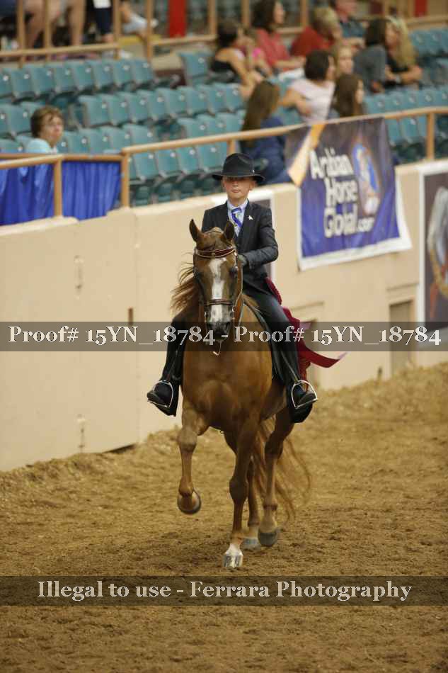 Proof 15YN_18784