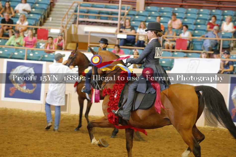 Proof 15YN_18802