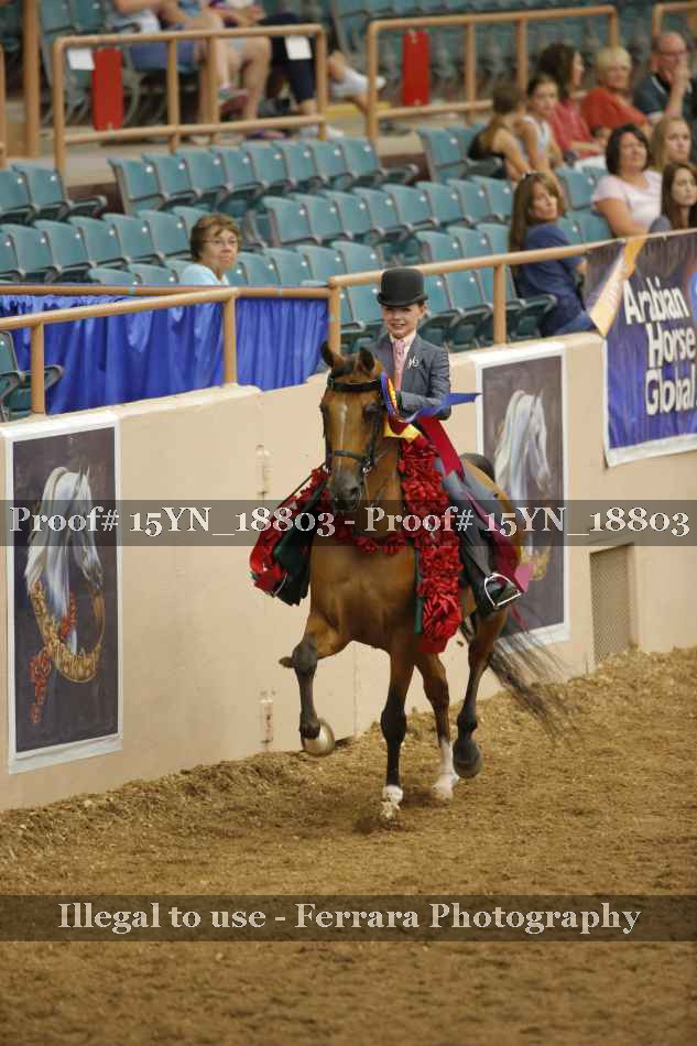 Proof 15YN_18803
