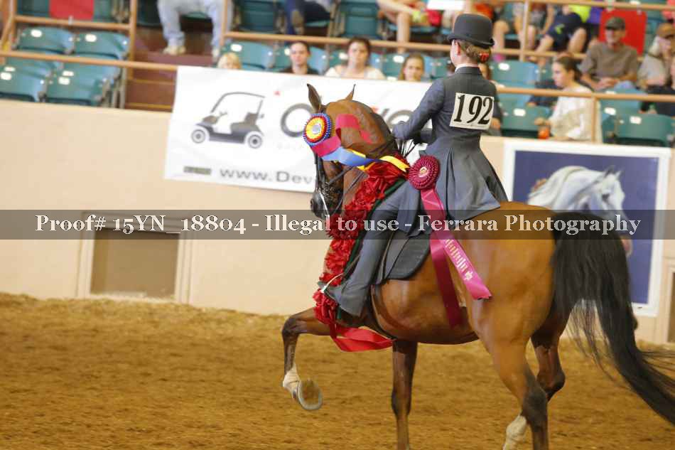 Proof 15YN_18804