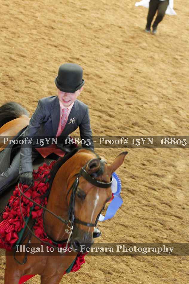 Proof 15YN_18805