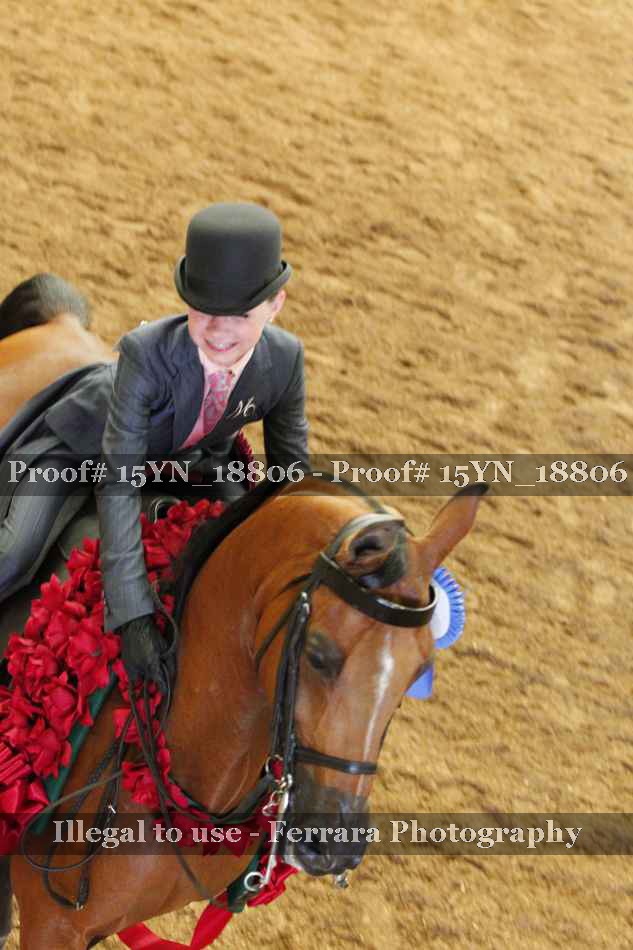 Proof 15YN_18806